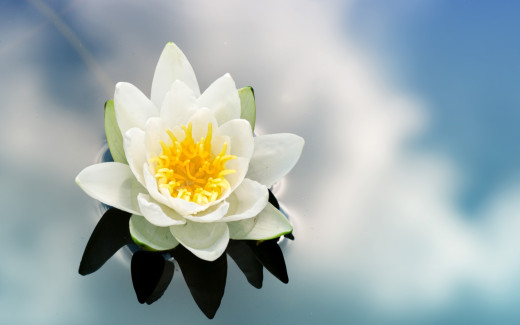 664907 (a): :2200x1375